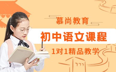 初中语文一对一精品课程