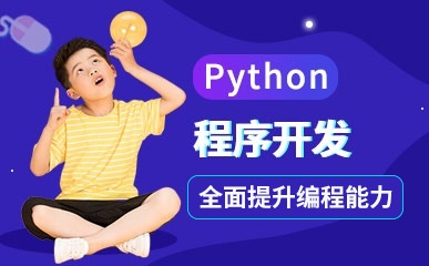 Python程序开发少儿编程课