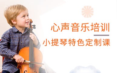 小提琴特色定制课程