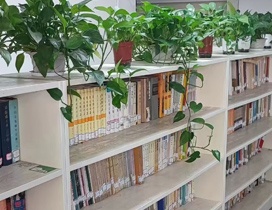 充实的图书一角