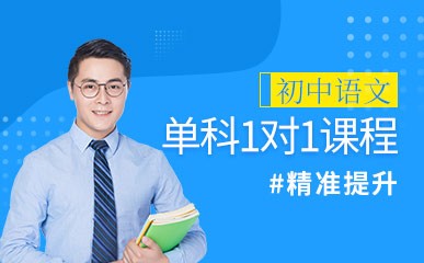 初中语文单科1对1课程