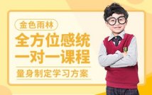 全方位感统一对一定制训练
