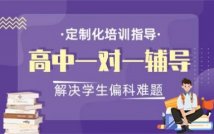 高中一对一个性化进步课程