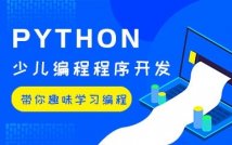  8-13岁Python编程课