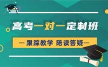 高考一对一个性化定制课程
