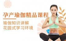 孕产瑜伽精品课程