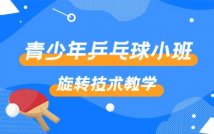 青少年乒乓球小班训练课
