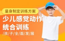 感觉运动统合训练