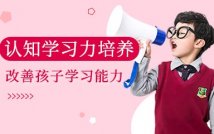 青少年认知学习力培养课程