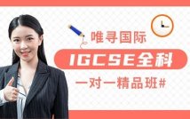 IGCSE各科目双语一对一课程