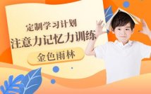 儿童注意力记忆力提升精品课程
