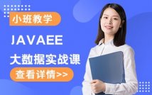 JavaEE大数据实战课程