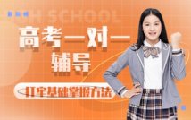 高考一对一定制课程