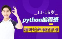 11-16岁Python编程课