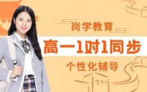 高一一对一同步特色课程
