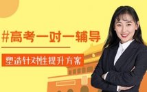 高考一对一定制特色课程