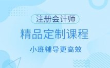 注册会计师精品定制课程