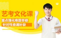 艺考文化课能力课程