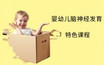 0-2岁宝宝全脑启蒙课程