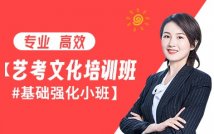 艺考文化课精品课程
