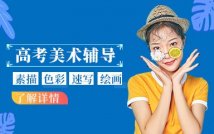 高考美术冲刺精品课程