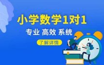 小学数学1对1提升课程