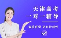 高考一对一特色课程