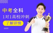 中考全科1对1课程