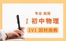 初中物理1对1培优课程