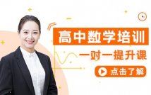 高中数学一对一提升课程