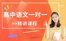 高中语文一对一精讲课程