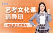 艺考一对一精品文化课程
