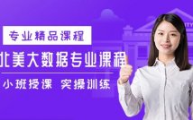 北美大数据专业特色课程