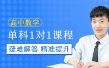 高中数学单科1对1精讲课程