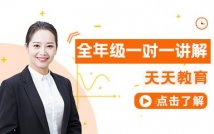 全年级学科1对1精讲课程