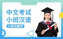 中文考试小班汉语课程