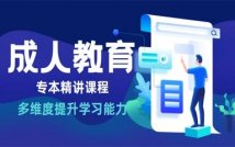 成人教育专本精讲课程