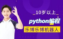 10岁+python编程课程