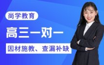 高三一对一同步精品课程