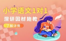 小学语文1对1提升课程