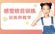 感觉统合提升训练